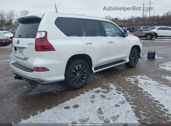 JTJAM7BXXM5283668 2021 LEXUS GX 460 Белый Задняя правая четверть