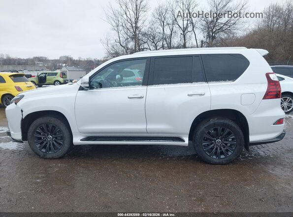 JTJAM7BXXM5283668 2021 LEXUS GX 460 Белый 