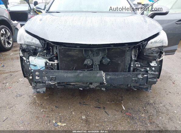 JTJBARBZ0K2187265 2019 LEXUS NX 300 Gray Դիմացի տեսք