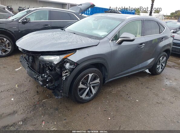 JTJBARBZ0K2187265 2019 LEXUS NX 300 Gray Առջևի ձախ երեք քառորդ տեսարան
