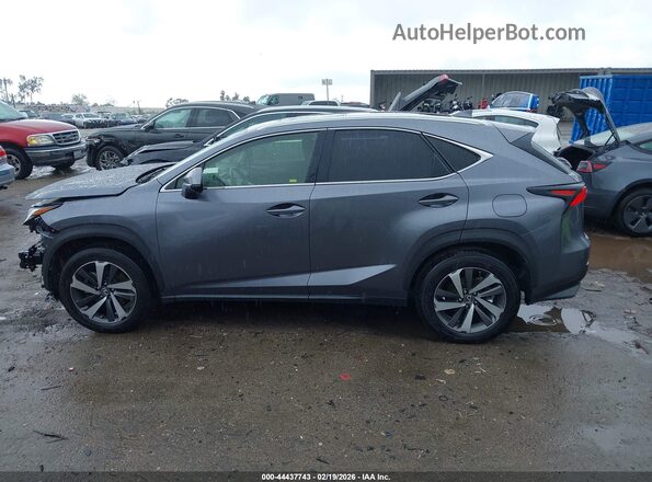 JTJBARBZ0K2187265 2019 LEXUS NX 300 Gray Սալոնի 360 աստիճան տեսք