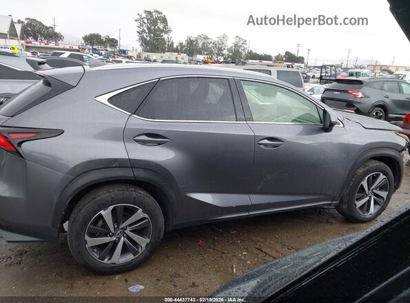JTJBARBZ0K2187265 2019 LEXUS NX 300 Gray Սալոնի հետևի տեսք