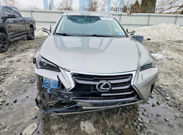 JTJBARBZ4G2083868 2016 LEXUS NX Silver Vista frontal