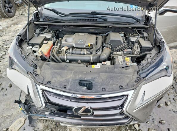 JTJBARBZ4G2083868 2016 LEXUS NX Silver Vista del compartimento del motor