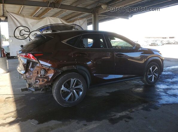 JTJBARBZ4K2198866 2019 LEXUS NX Коричневый 