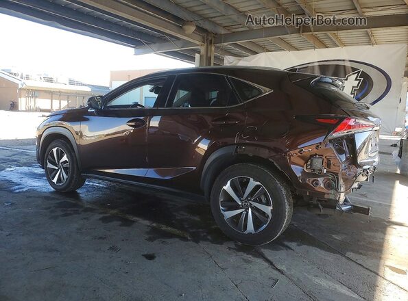 JTJBARBZ4K2198866 2019 LEXUS NX Коричневый 