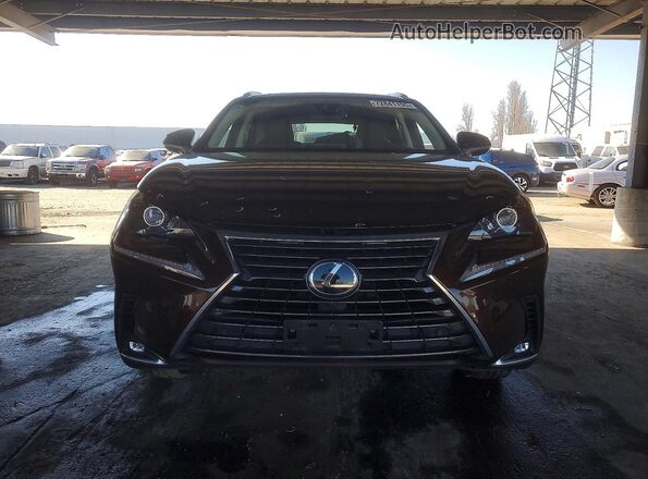 JTJBARBZ4K2198866 2019 LEXUS NX Коричневый 