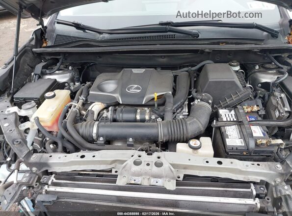 JTJBARBZ5K2198908 2019 LEXUS NX 300 Silver Vista trasera