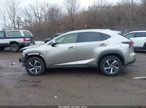 JTJBARBZ5K2198908 2019 LEXUS NX 300 Silver 