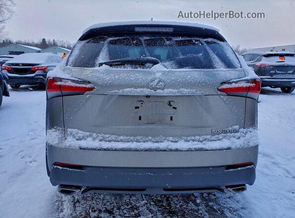 JTJBARBZ9G2066175 2016 LEXUS NX Silver Вид ззаду