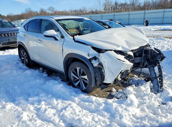 JTJBARBZ9J2159706 2018 LEXUS NX White 