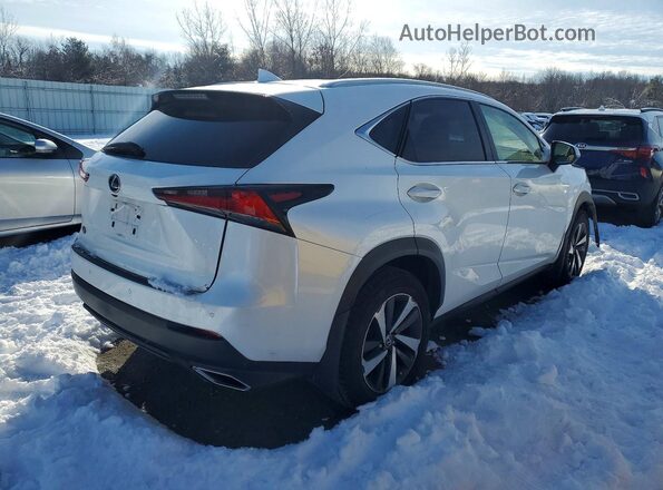 JTJBARBZ9J2159706 2018 LEXUS NX White 