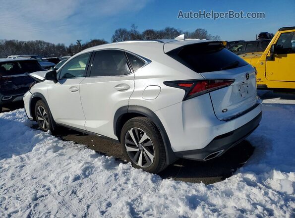 JTJBARBZ9J2159706 2018 LEXUS NX White 