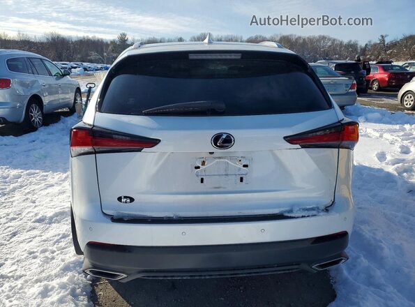 JTJBARBZ9J2159706 2018 LEXUS NX White 