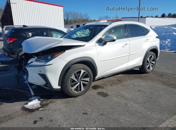 JTJBARBZ9K2205990 2019 LEXUS NX 300 White Przód lewy