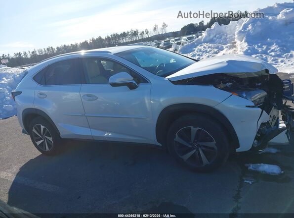 JTJBARBZ9K2205990 2019 LEXUS NX 300 White Widok wnętrza z tyłu