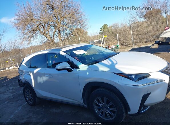 JTJBARBZXK2208994 2019 LEXUS NX 300 Белый Вид задней части салона