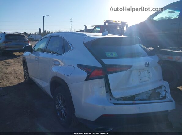 JTJBARBZXK2208994 2019 LEXUS NX 300 Белый Задняя левая четверть