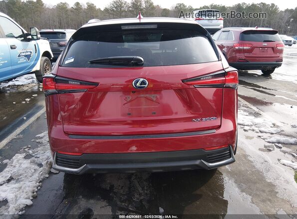 JTJBJRBZ1K2100179 2019 LEXUS NX 300H Красный 
