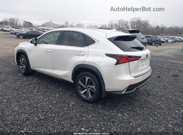JTJBJRBZ4K2101083 2019 LEXUS NX 300H White 
