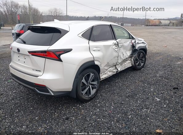 JTJBJRBZ4K2101083 2019 LEXUS NX 300H White 