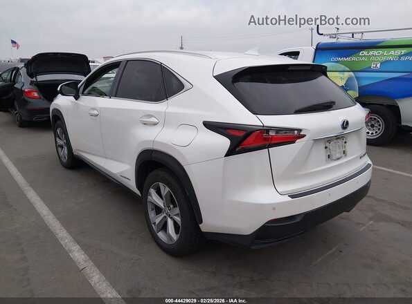 JTJBJRBZXH2072441 2017 LEXUS NX 300H White Задня ліва чверть