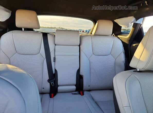 JTJCHMAA6P2007258 2023 LEXUS RX Белый Вид задних сидений