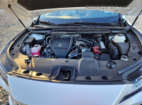 JTJCHMAA6P2007258 2023 LEXUS RX Белый Вид подкапотного пространства