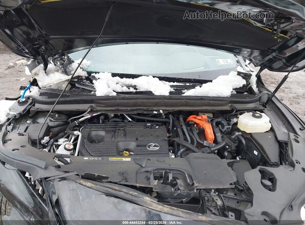JTJCJMGA6S2025943 2025 LEXUS RX 450H+ Black Вид ззаду