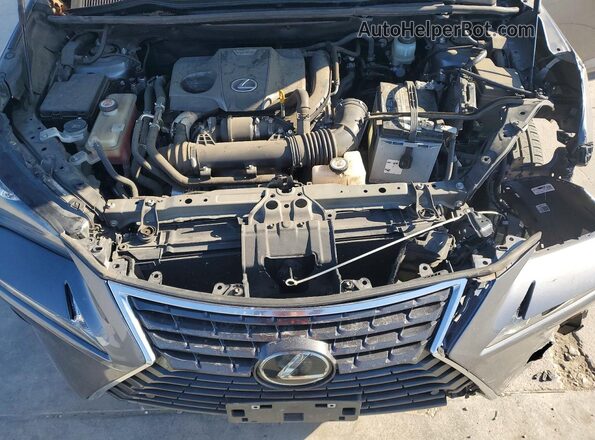 JTJDARBZ1M2196035 2021 LEXUS NX Gray 