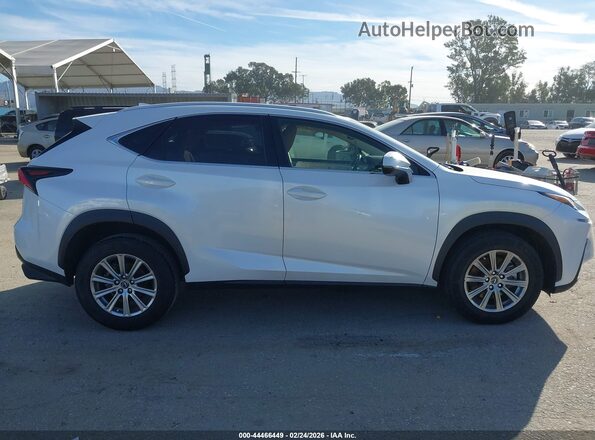 JTJDARBZ1M5029852 2021 LEXUS NX 300 White 