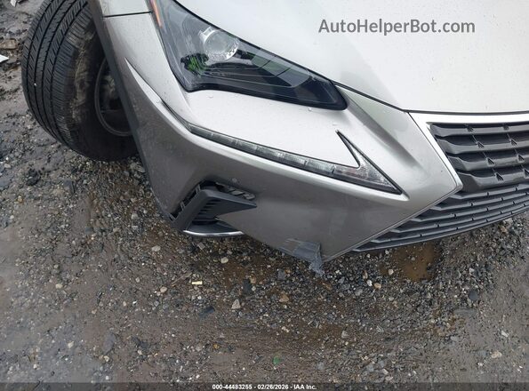 JTJDARBZ3M2195680 2021 LEXUS NX 300 Silver 