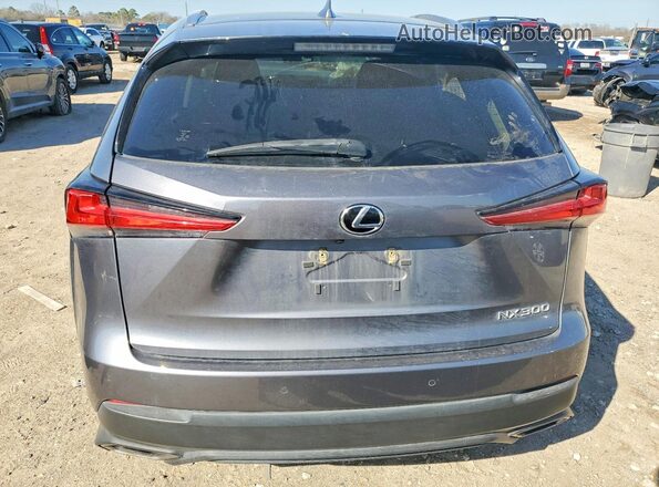 JTJDARBZXM2202625 2021 LEXUS NX Gray Widok z tyłu