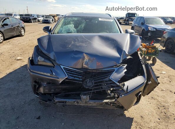 JTJDARBZXM2202625 2021 LEXUS NX Gray Widok z przodu