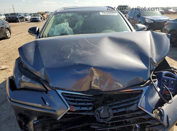 JTJDARBZXM2202625 2021 LEXUS NX Gray Widok wnętrza z tyłu