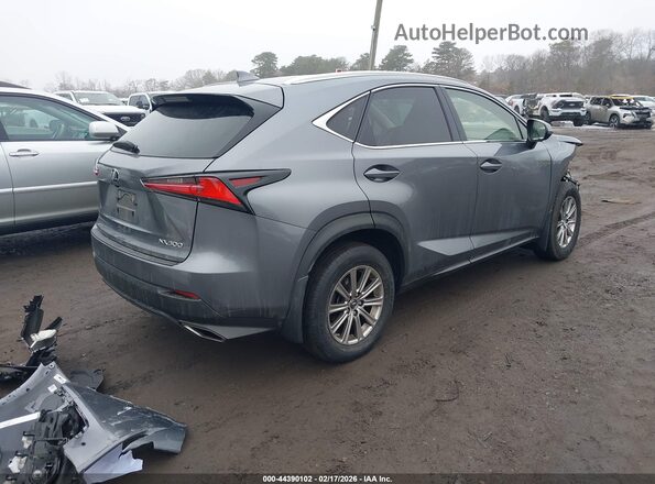JTJDARDZ2M2240928 2021 LEXUS NX 300 Gray უკანა მარჯვენა
