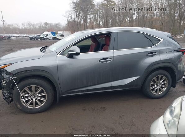 JTJDARDZ2M2240928 2021 LEXUS NX 300 Gray სალონის 360-გრადუსიანი ხედი