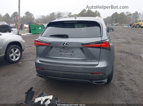 JTJDARDZ2M2240928 2021 LEXUS NX 300 Gray 