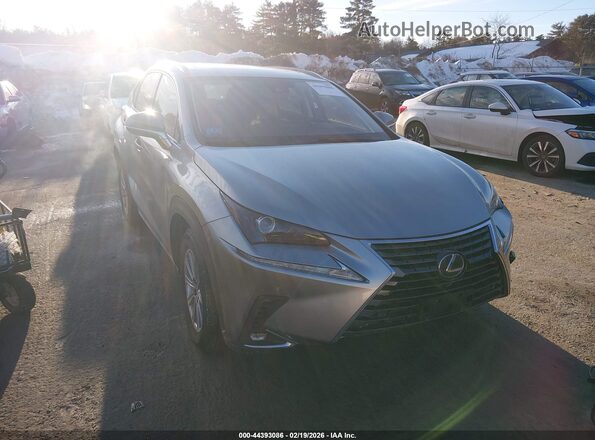 JTJDARDZ4L2231467 2020 LEXUS NX 300 Silver 