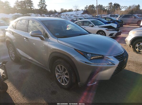 JTJDARDZ4L2231467 2020 LEXUS NX 300 Silver 