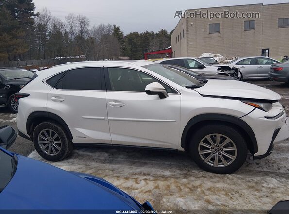 JTJDJRDZ1L5000458 2020 LEXUS NX 300H Белый 