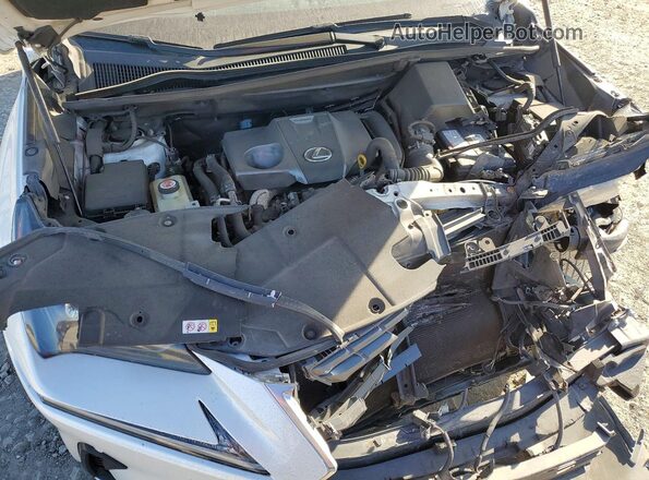 JTJGARBZ3M5024195 2021 LEXUS NX Белый 