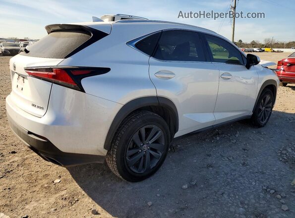 JTJGARBZ3M5024195 2021 LEXUS NX Белый 