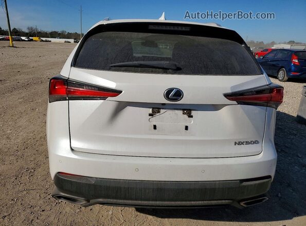 JTJGARBZ3M5024195 2021 LEXUS NX Белый 