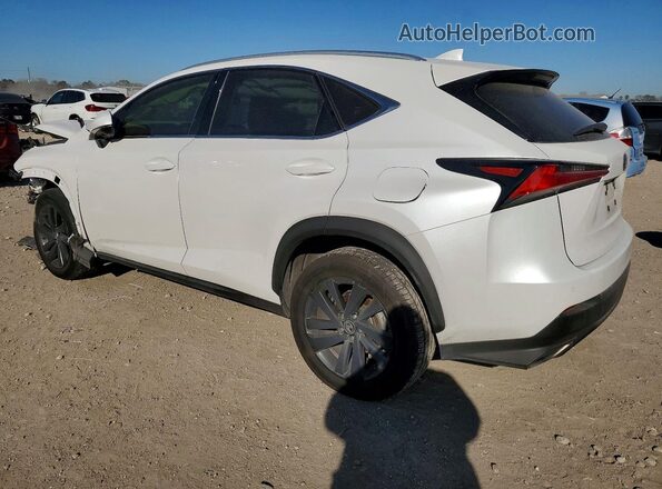 JTJGARBZ3M5024195 2021 LEXUS NX Белый 