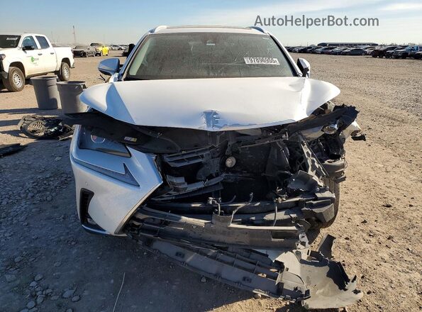 JTJGARBZ3M5024195 2021 LEXUS NX Белый 