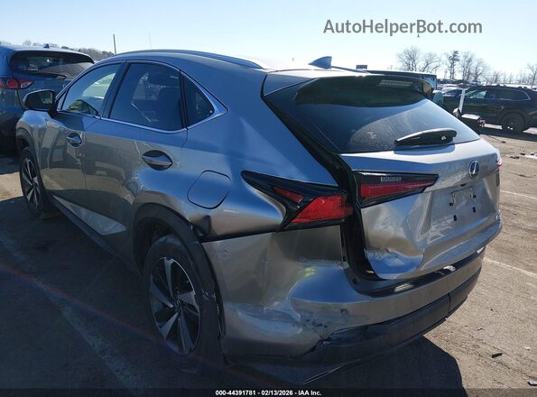 JTJGARDZ0L2233469 2020 LEXUS NX 300 Silver Trasero izquierdo
