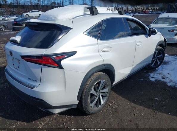 JTJGARDZ1L5005009 2020 LEXUS NX 300 White Trasero derecho