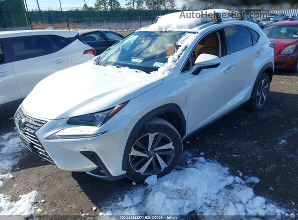 JTJGARDZ1L5005009 2020 LEXUS NX 300 White Vista tres cuartos delantera izquierda