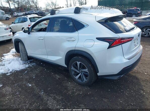 JTJGARDZ1L5005009 2020 LEXUS NX 300 White Trasero izquierdo